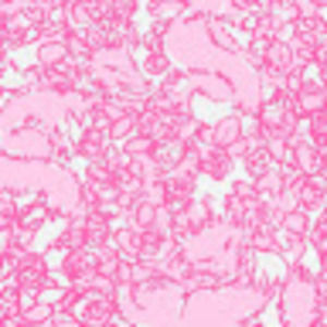 Meet your Posher, Alice